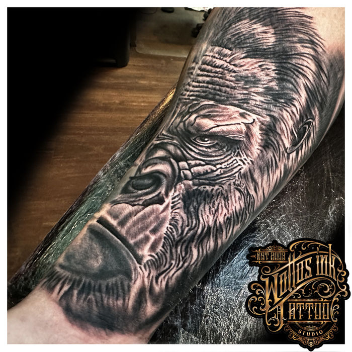 Black and grey gorilla portrait tattoo by Danny