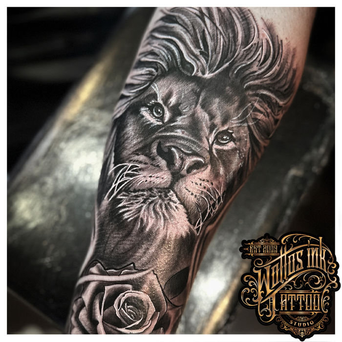 Black and grey lion tattoo by Danny at Wotto's Ink, Nottingham